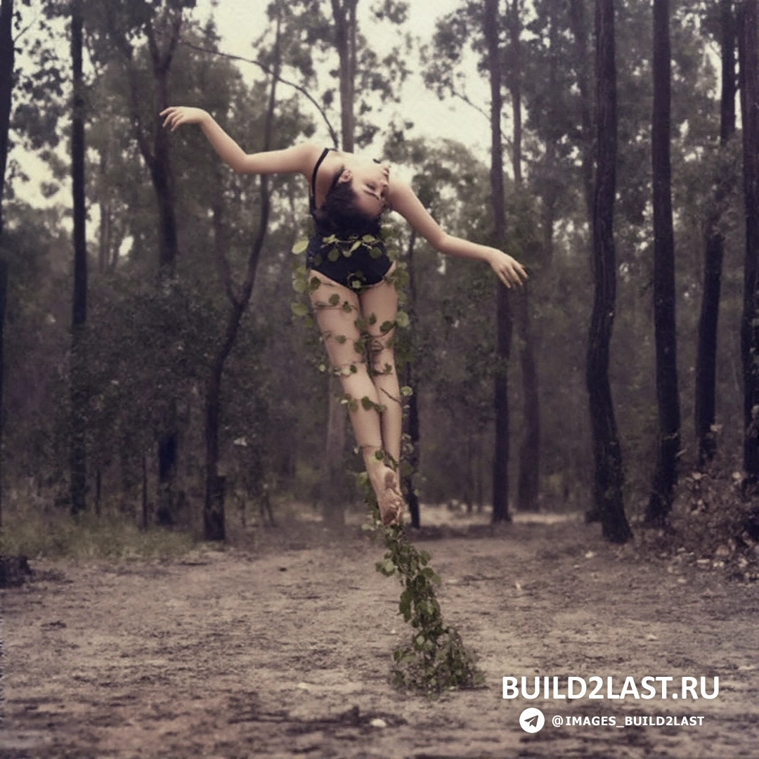 ���� �������������� ����, �������� � ���� �������� � ���������� ����������